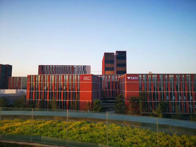 奉贤区木制办公桌椅批发