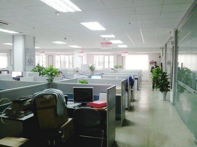 云南弹簧板校平机报价