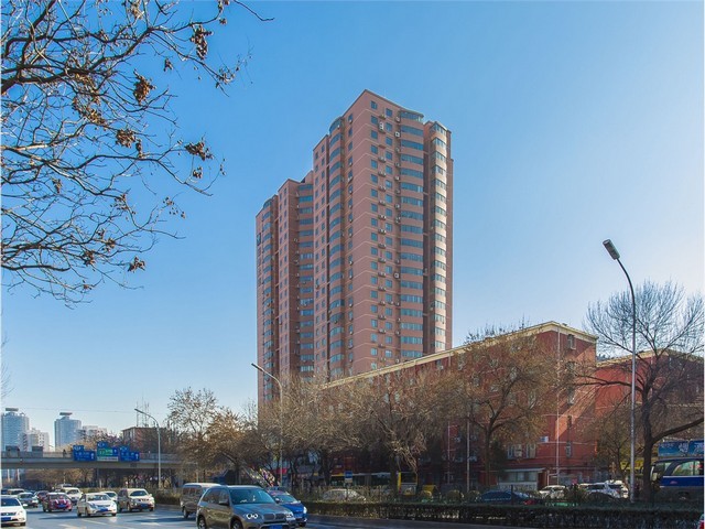 安徽步道胶黏剂近期价格